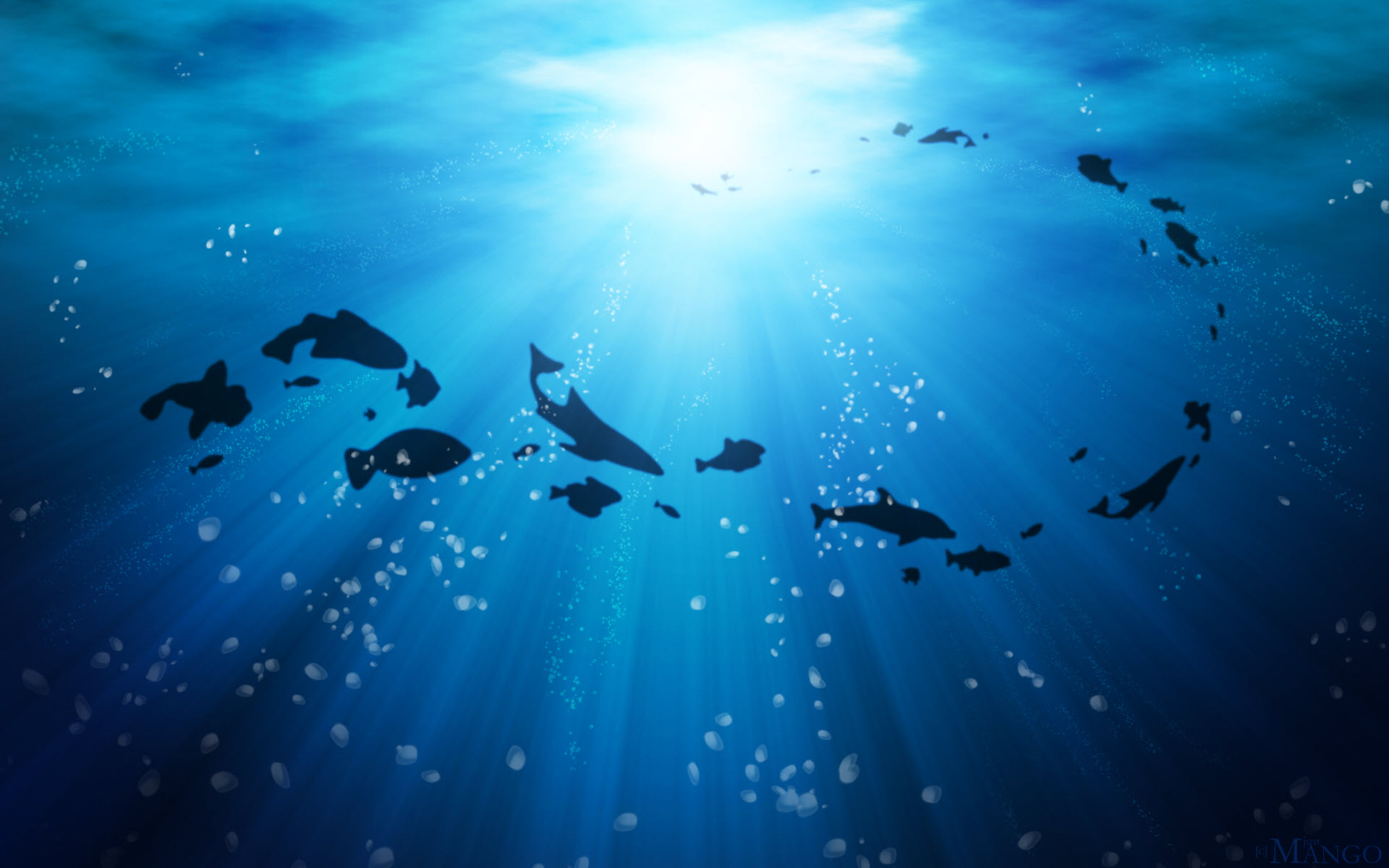 Жизнь морского океана. Рыбы в океане. Океан под водой. Море глубина. Фон океана под водой.